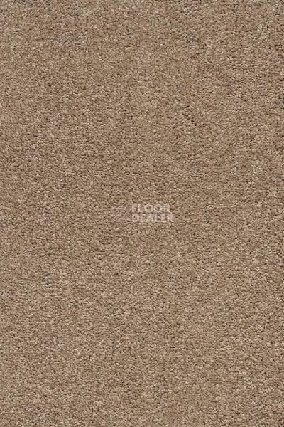 Ковролин AW Vivendi Punch 38 фото 1 | FLOORDEALER